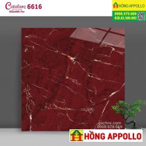 Các mẫu gạch 60x60 lát nền phòng khách đẹp nhất Catalan-60x60 đỏ trắng đen